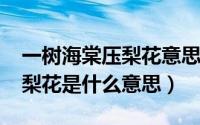 一树海棠压梨花意思（11月18日一枝海棠压梨花是什么意思）