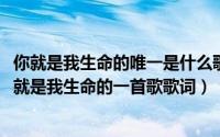 你就是我生命的唯一是什么歌歌词是什么意思（11月18日你就是我生命的一首歌歌词）