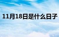 11月18日是什么日子（11月18日未的组词）