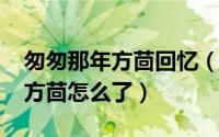 匆匆那年方茴回忆（11月18日匆匆那年结局方茴怎么了）