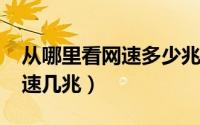 从哪里看网速多少兆（10月08日怎样查看网速几兆）