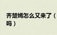 齐楚嫣怎么又来了（11月18日齐楚嫣结婚了吗）