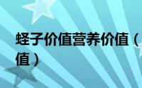 蛏子价值营养价值（11月19日蛏子的营养价值）