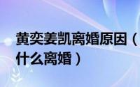 黄奕姜凯离婚原因（11月19日黄奕和姜凯为什么离婚）