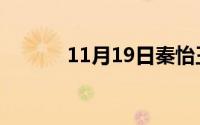 11月19日秦怡王晓棠谁最漂亮