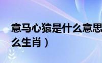 意马心猿是什么意思（11月19日意马心猿什么生肖）