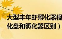 大型丰年虾孵化器视频（11月19日丰年虾孵化盘和孵化器区别）