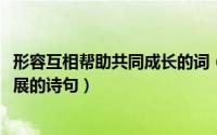 形容互相帮助共同成长的词（11月19日形容互相帮助共同发展的诗句）