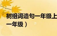 树组词造句一年级上册（11月19日树的组词一年级）