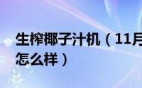 生榨椰子汁机（11月19日生磨椰子汁机摆摊怎么样）