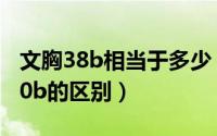 文胸38b相当于多少（11月19日文胸38b和40b的区别）