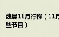 魏晨11月行程（11月19日魏晨一共参加过哪些节目）