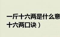 一斤十六两是什么意思（11月19日一斤等于十六两口诀）