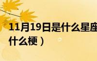 11月19日是什么星座（11月19日肱一头肌是什么梗）