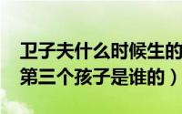 卫子夫什么时候生的儿子（11月18日卫子夫第三个孩子是谁的）