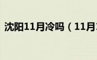 沈阳11月冷吗（11月18日沈阳夏天好过吗）