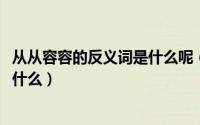 从从容容的反义词是什么呢（11月19日从从容容的反义词是什么）