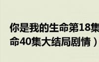 你是我的生命第18集（11月19日你是我的生命40集大结局剧情）