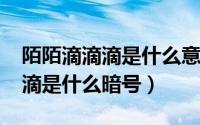 陌陌滴滴滴是什么意思（11月19日陌陌滴滴滴是什么暗号）