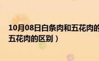 10月08日白条肉和五花肉的区别在哪（10月08日白条肉和五花肉的区别）