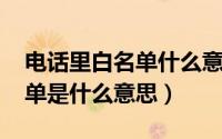 电话里白名单什么意思（11月19日电话白名单是什么意思）