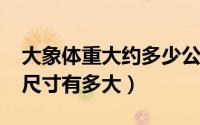 大象体重大约多少公斤（11月19日大象体型尺寸有多大）