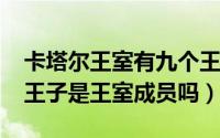 卡塔尔王室有九个王子（10月08日卡塔尔小王子是王室成员吗）