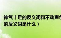 神气十足的反义词和不动声色的反义词（11月19日神气十足的反义词是什么）