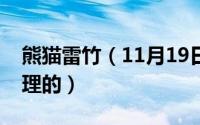 熊猫雷竹（11月19日大熊猫雷雷死后如何处理的）