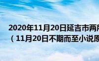 2020年11月20日延吉市两所小学入选第二届全国文明校园（11月20日不期而至小说原著叫什么）