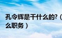 孔令辉是干什么的?（11月19日孔令辉担任什么职务）