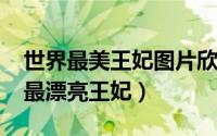 世界最美王妃图片欣赏（10月08日全球四大最漂亮王妃）