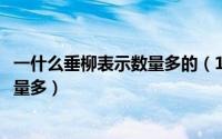 一什么垂柳表示数量多的（10月08日一什么垂柳数量少和数量多）