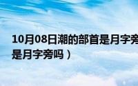 10月08日潮的部首是月字旁吗怎么读（10月08日潮的部首是月字旁吗）