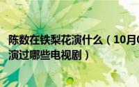 陈数在铁梨花演什么（10月08日饰演铁梨花的主角陈数巍子演过哪些电视剧）