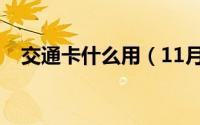 交通卡什么用（11月20日交通卡是什么）