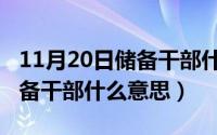 11月20日储备干部什么意思呀（11月20日储备干部什么意思）