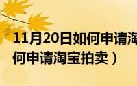 11月20日如何申请淘宝拍卖呢（11月20日如何申请淘宝拍卖）