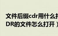 文件后缀cdr用什么打开（11月20日后缀是CDR的文件怎么打开）