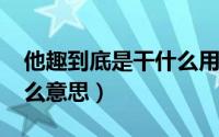 他趣到底是干什么用的（10月08日他趣是什么意思）