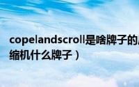 copelandscroll是啥牌子的压缩机（11月20日copeland压缩机什么牌子）