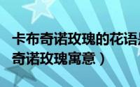 卡布奇诺玫瑰的花语是什么?（11月20日卡布奇诺玫瑰寓意）