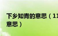 下乡知青的意思（11月20日下乡知青是什么意思）