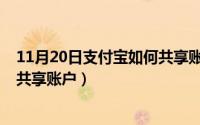 11月20日支付宝如何共享账户信息（11月20日支付宝如何共享账户）