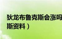 狄龙布鲁克斯会涨吗（11月20日狄龙布鲁克斯资料）