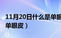 11月20日什么是单眼皮啊（11月20日什么是单眼皮）