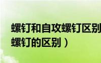 螺钉和自攻螺钉区别（11月20日自攻螺钉与螺钉的区别）