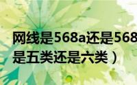 网线是568a还是568b（11月20日网线568b是五类还是六类）