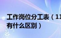 工作岗位分工表（11月20日岗位分工与职责有什么区别）