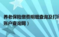 养老保险缴费明细查询及打印（10月08日查询养老保险个人账户查询网）